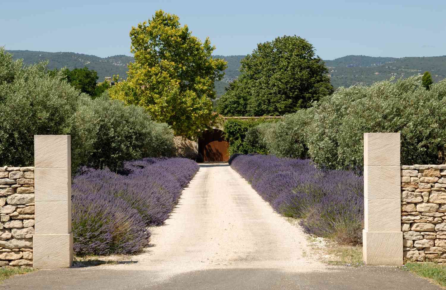 Driveway & Entry