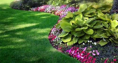 Maintained garden bed